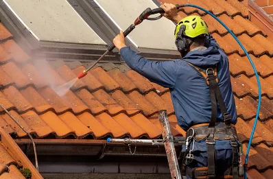 Démoussage et hydrofuge de toiture à Ladaux
